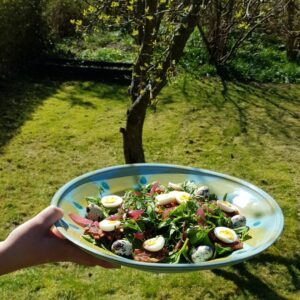 Salat med vagtelæg og kartoffelreder