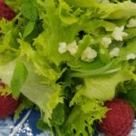 Salat med hindbær