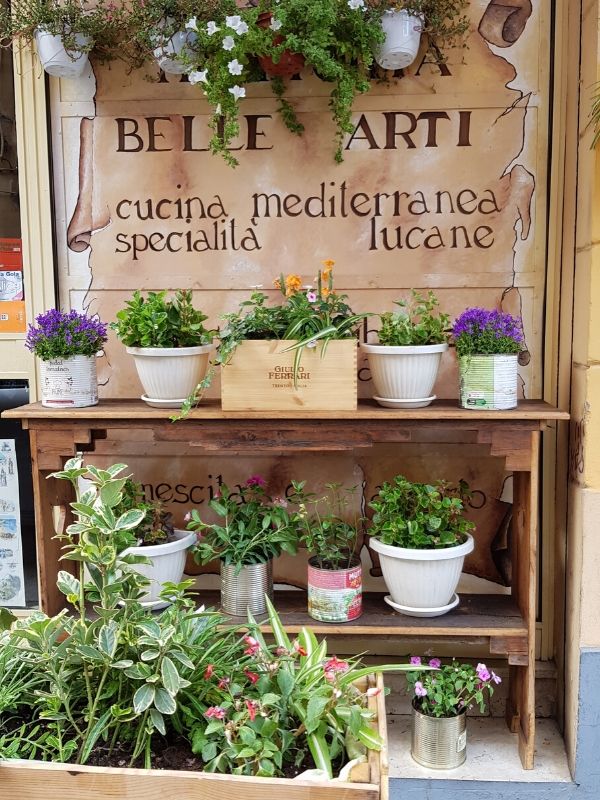 Kulturer Belle Arti