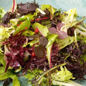 gron salat med krydderurter